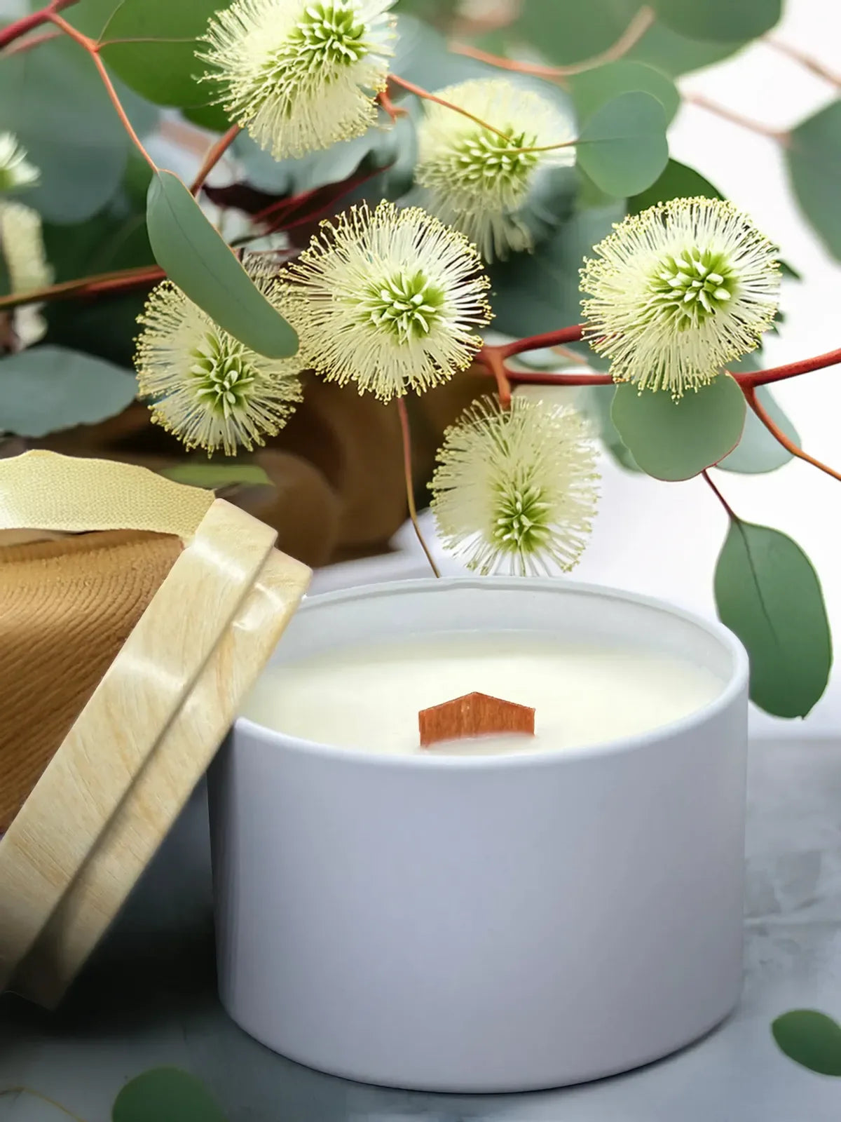 Vela Brisa de Eucalipto - Esencias de Valleseco