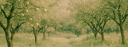Verde manzana y el eco de los huertos.