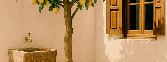 El aroma del limón que perfumaba los patios.