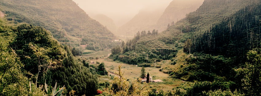 Bosque mojado, el olor de los silencios de Valleseco.
