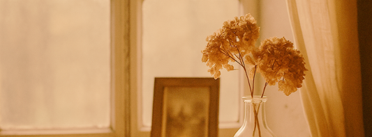 El olor de lo que ya no está.